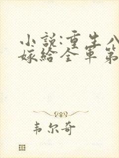 小说:重生八零嫁给全军第一硬汉