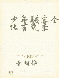 少年骇客全面进化有几季