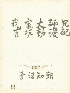 我家大师兄脑子有坑动漫配音演员表封面
