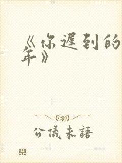 《你迟到的许多年》封面