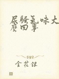尿骚气味大是怎么回事