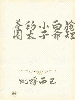 养的小白脸是京圈太子爷短剧 免费