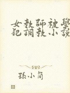 女教师被学生侵犯调教小说封面
