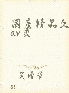 国产精品久久久av爽