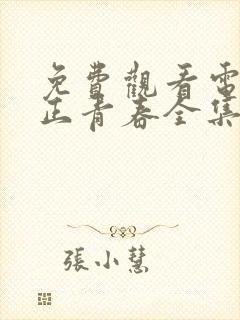 免费观看电视剧正青春全集在线播放