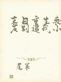 末日重生丧尸男友别追我小说排行榜