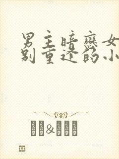 男主暗恋女主久别重逢的小说