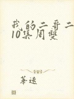 我的二哥二嫂第10集周双
