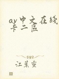 av中文在线不卡二区