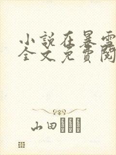 小说在暴雪时分全文免费阅读全文