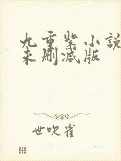 九重紫小说原著未删减版封面