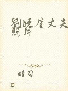 刘晓庆丈夫王立照片封面