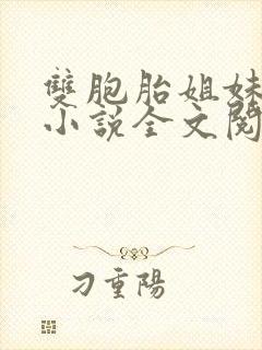 双胞胎姐妹换夫小说全文阅读封面