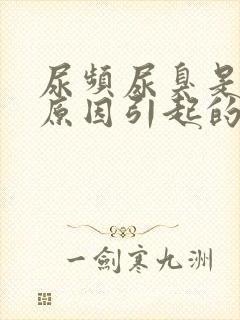 尿频尿臭是什么原因引起的