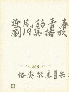 迎风的青春电视剧19集播放