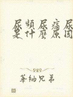 尿频尿痛尿不尽是什么原因