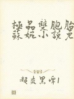 极品双胞胎老婆苏婉小说免费阅读