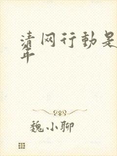 清网行动是哪一年