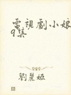 电视剧小娘惹29集