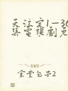 天注定1—36集电视剧免费观看封面