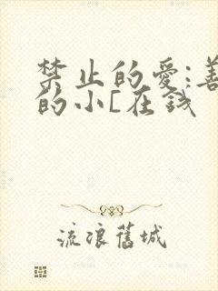 禁止的爱:善良的小[在钱
