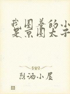 我圈养的小白脸是京圈太子爷短剧