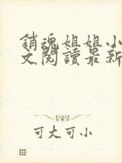 销魂姐姐小说全文阅读最新章节列表封面