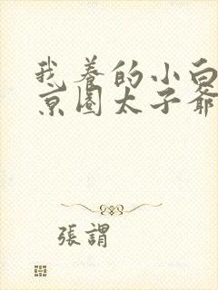 我养的小白脸是京圈太子爷免费