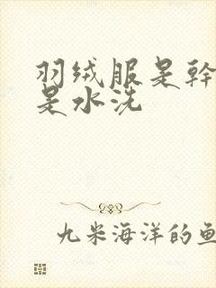 羽绒服是干洗还是水洗