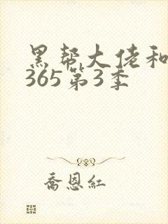 黑帮大佬和我的365第3季