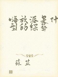 嗨放派是什么类型的综艺
