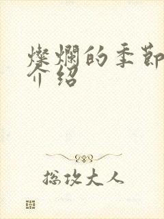 灿烂的季节剧情介绍