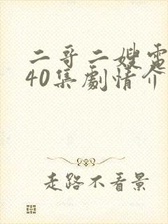 二哥二嫂电视剧40集剧情介绍