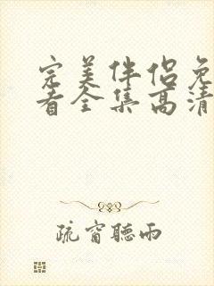 完美伴侣免费观看全集高清版电视剧