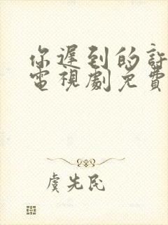 你迟到的许多年电视剧免费