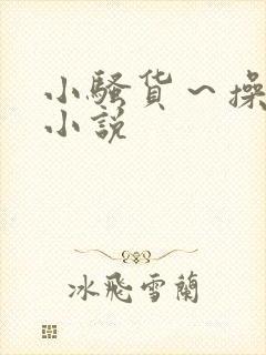 小骚货～操死你小说