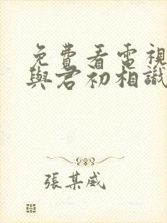 免费看电视剧《与君初相识》封面