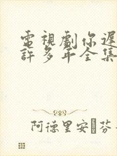 电视剧你迟到的许多年全集免费观看