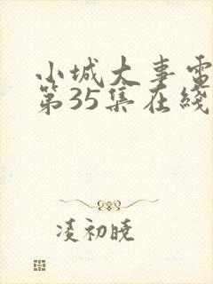 小城大事电视剧第35集在线观看