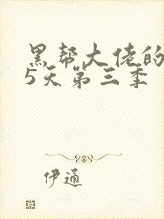 黑帮大佬的365天第三季