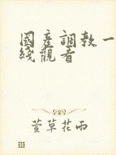 国产调教一区在线观看