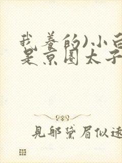 我养的)小白脸是京圈太子爷小说封面