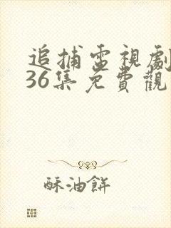 追捕电视剧全集36集免费观看