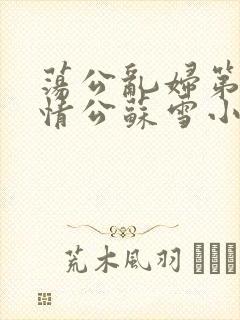 荡公乱妇第1章情公苏雪小说封面