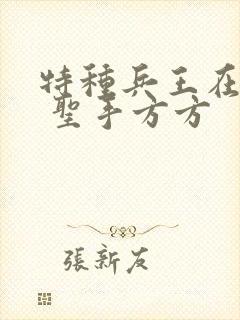 特种兵王在山村 圣手方方