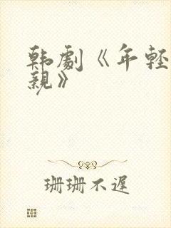 韩剧《年轻的母亲》封面