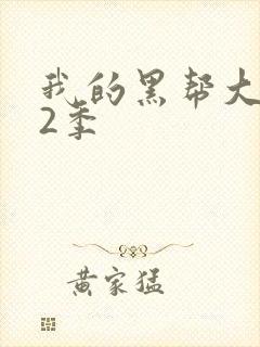 我的黑帮大佬第2季