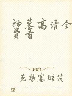 神墓高清全集免费看