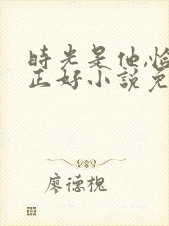 时光是他,恰是正好小说免费阅读
