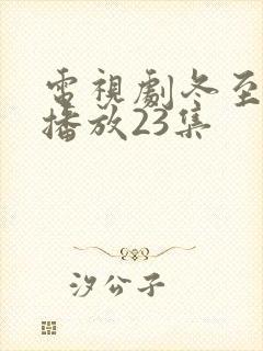 电视剧冬至免费播放23集